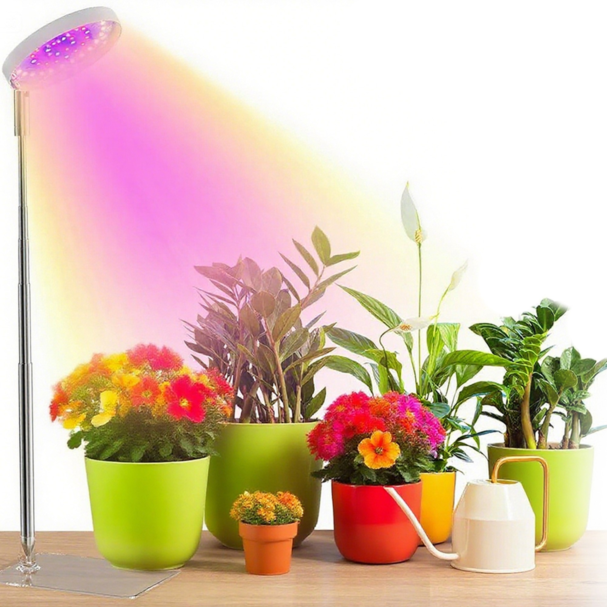 Plant Growing Lamp Light For Indoor Plants Full Spectrum