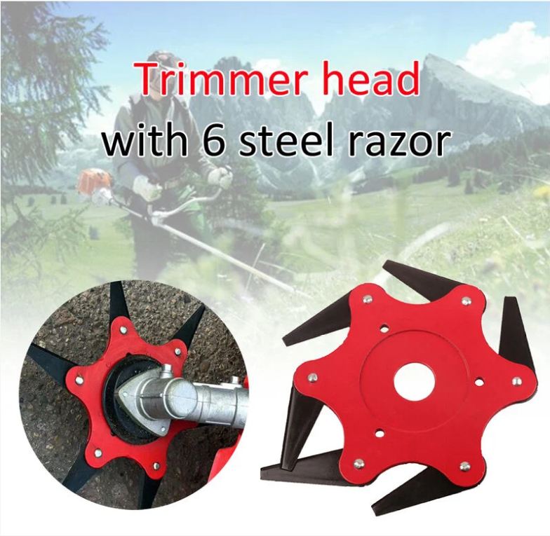 PEAK Tete De Tondeuse, Tondeuse A 6 Lames En Acier 10 PEAK Tete De Tondeuse, Tondeuse A 6 Lames En Acier -Atlantic Magasin AAHKMJXYDAFdJAOAIMEbOAchXAymZXXBYPqGXlTBs68PJ apAS upoXK7iKC19i5hjjQWc OzyPdgiebnDXR ndT8ANGC4ZYaaVR7yPwAGJH834HHWFaJUHprzOwNt4Y 0Q=