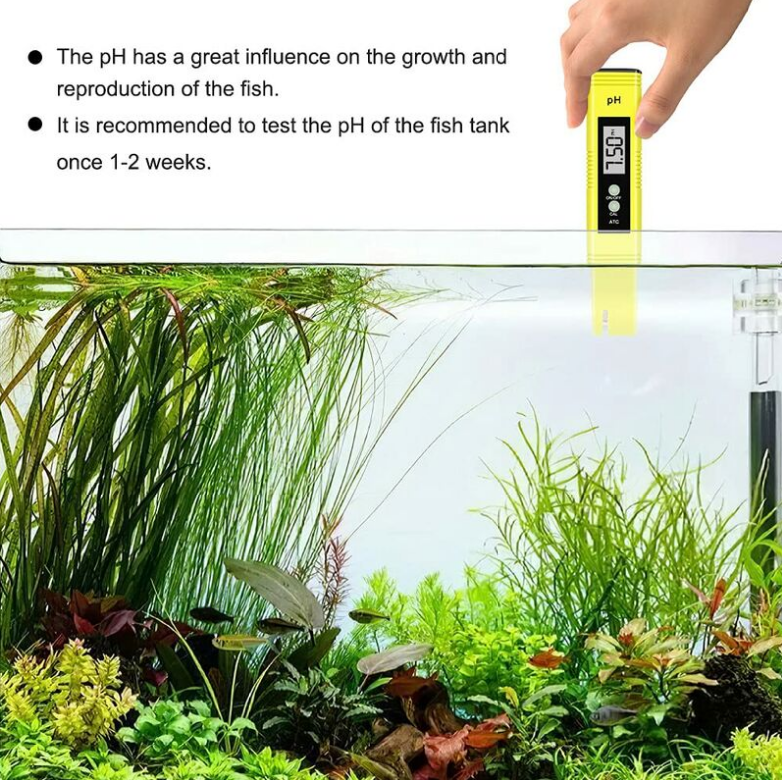 PH Testeur Electronique, Testeur De Qualité De L'eau Digital LCD,Fonction D'étalonnage Automatique Et 0.00-14.00 Portable PH Mètre Numérique Portable PH Mètre Numérique 11 PH Testeur Electronique, Testeur De Qualité De L'eau Digital LCD,Fonction D'étalonnage Automatique Et 0.00-14.00 Portable PH Mètre Numérique Portable PH Mètre Numérique -Promos Brico Forte Boutique AAHKMJXYDAFdJAOAIMEbOAchXAymZXXBYPqGXlTBs68PJ apAS upoXK7iKC19i5hjjw01BYmhyFNV Sbdd8yZjCQbasBhWmOxlxpH4cg 3b1eho bDJ0R GU5ZuDtjpOw=