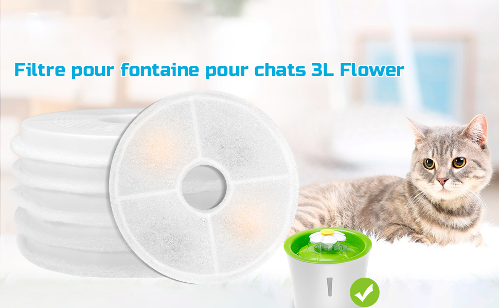 Filtro para Fountain à Chat