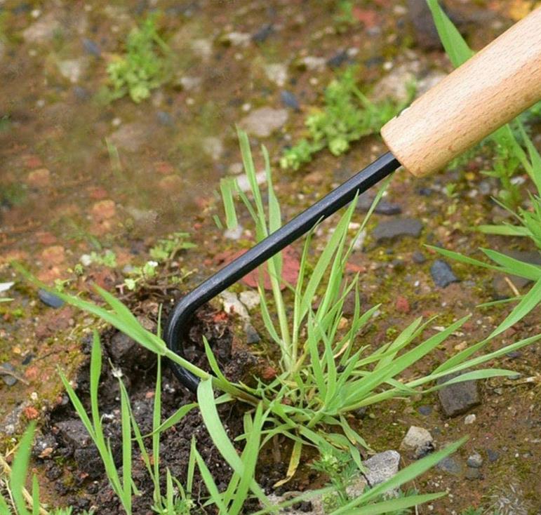 RAINBOW Jardinage Désherbage Crochet De Désherbage En Acier Inoxydable Crochet De Racine à Griffe Unique Entretien De Bonsaï En Pot Crochet De Sol Meuble Crochet En Bois-22.562.5cm, Noir, 3pcs 11 width=771