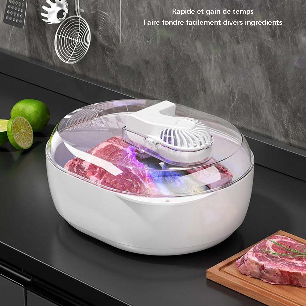 Dispositivo de placa térmica para filete de carne con artefacto de descongelación - details 0